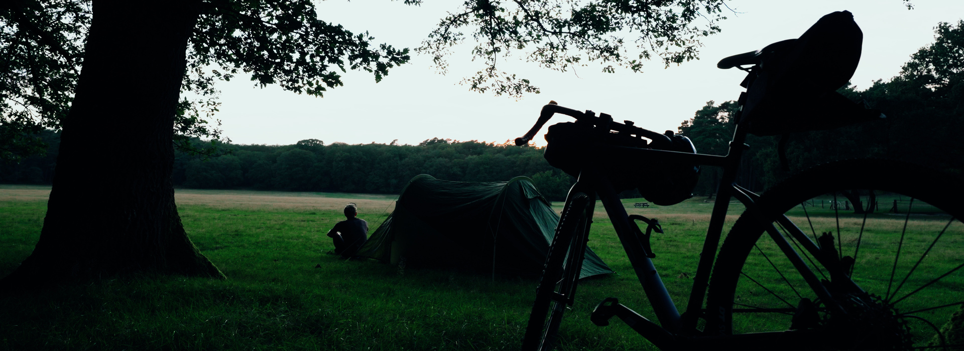 KOGA_COLMARO_STILL_22_GRADED