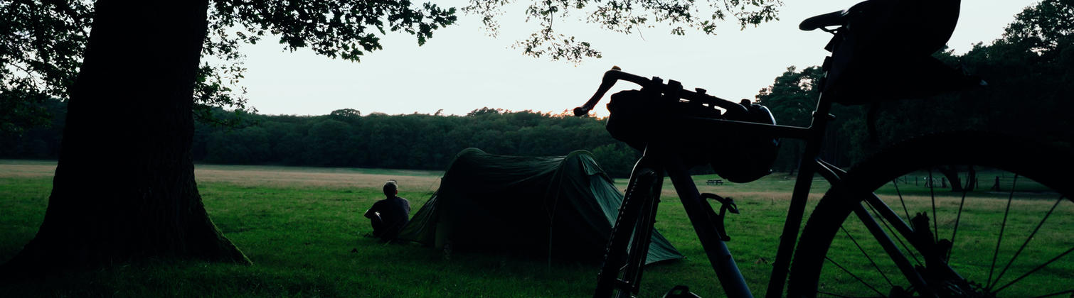 KOGA_COLMARO_STILL_22_GRADED